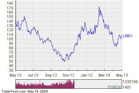 DIREXION DAILY STANDARD AND POORS BIOTECH BULL 3X SHARES 1 Year Performance Chart