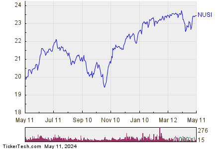 NUSI 1 Year Performance Chart